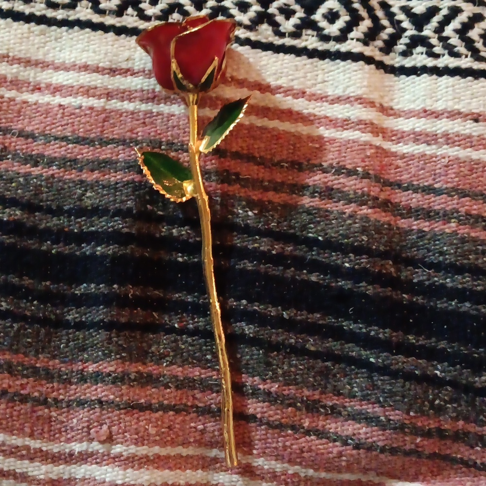 Forever Rose
